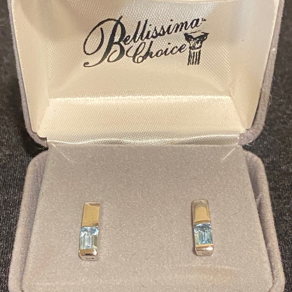 NWOT Sterling Silver and Blue Earrings